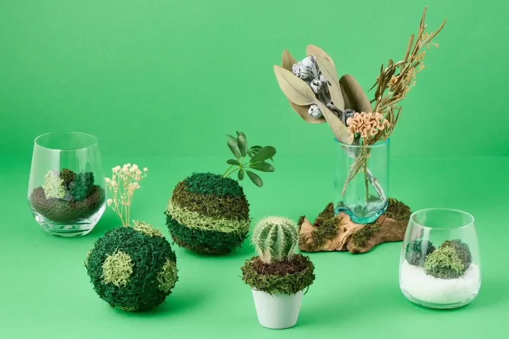 コケヌル作品例